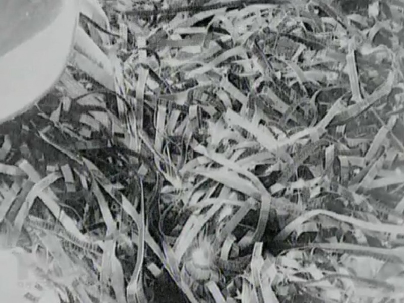 File:FILMS shredded.JPG